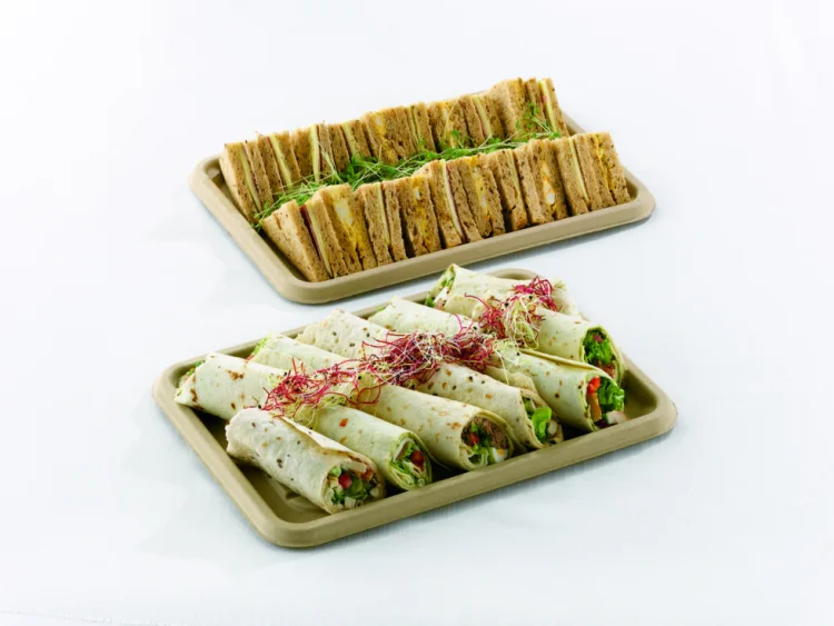 Rectangular platter 46x30cm 