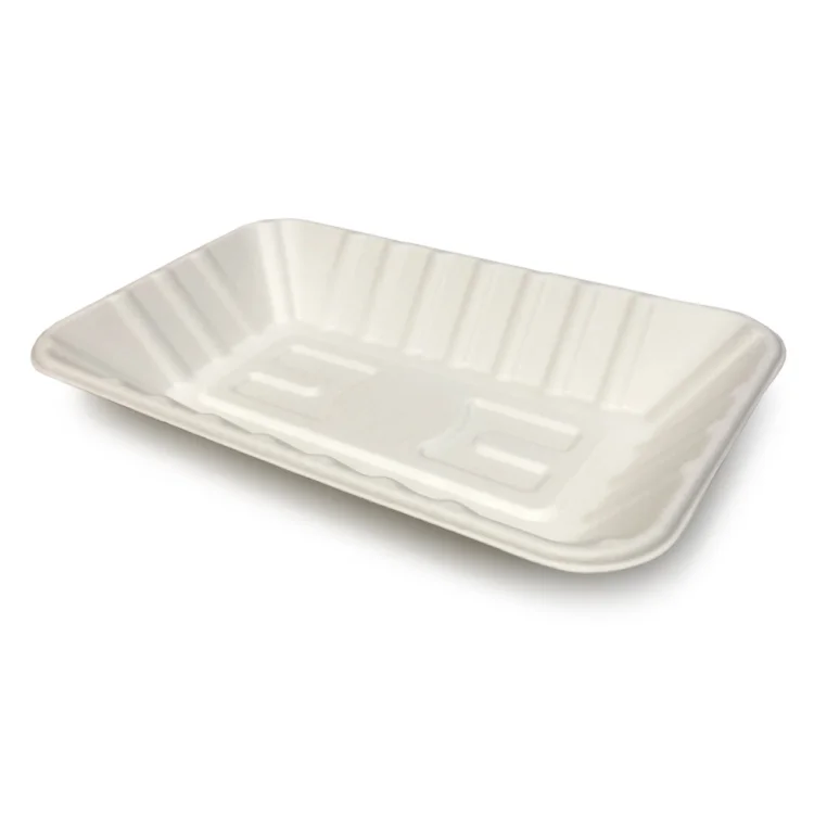  Pulp Trays 22x14cm 