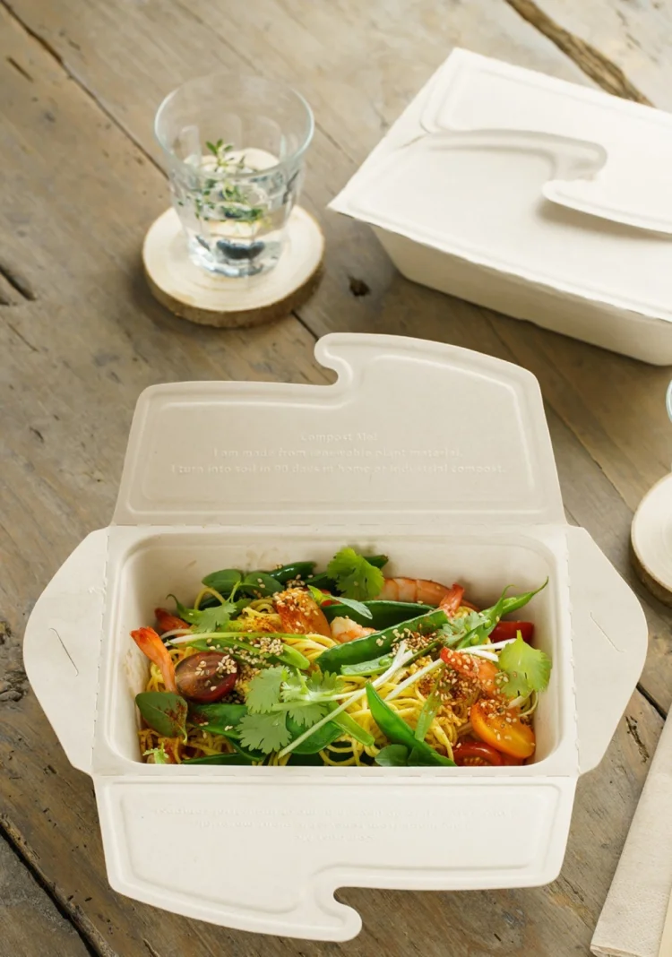  Meal Box to Go rechteckig 1000ml 